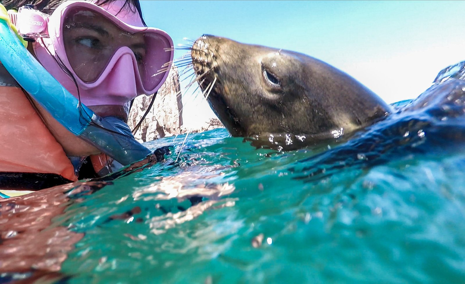 snorkeling cabo san lucas