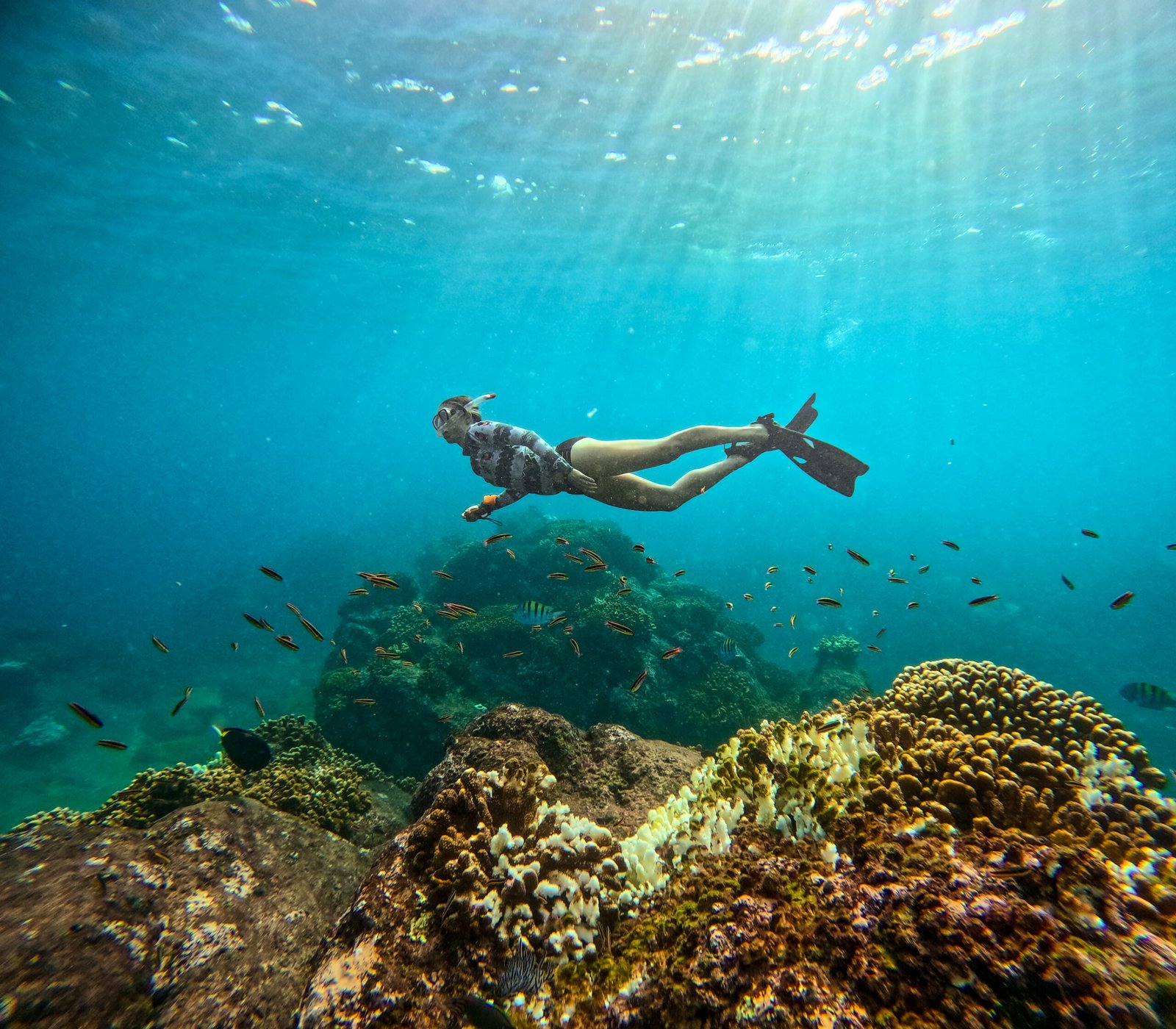 snorkeling cabo san lucas