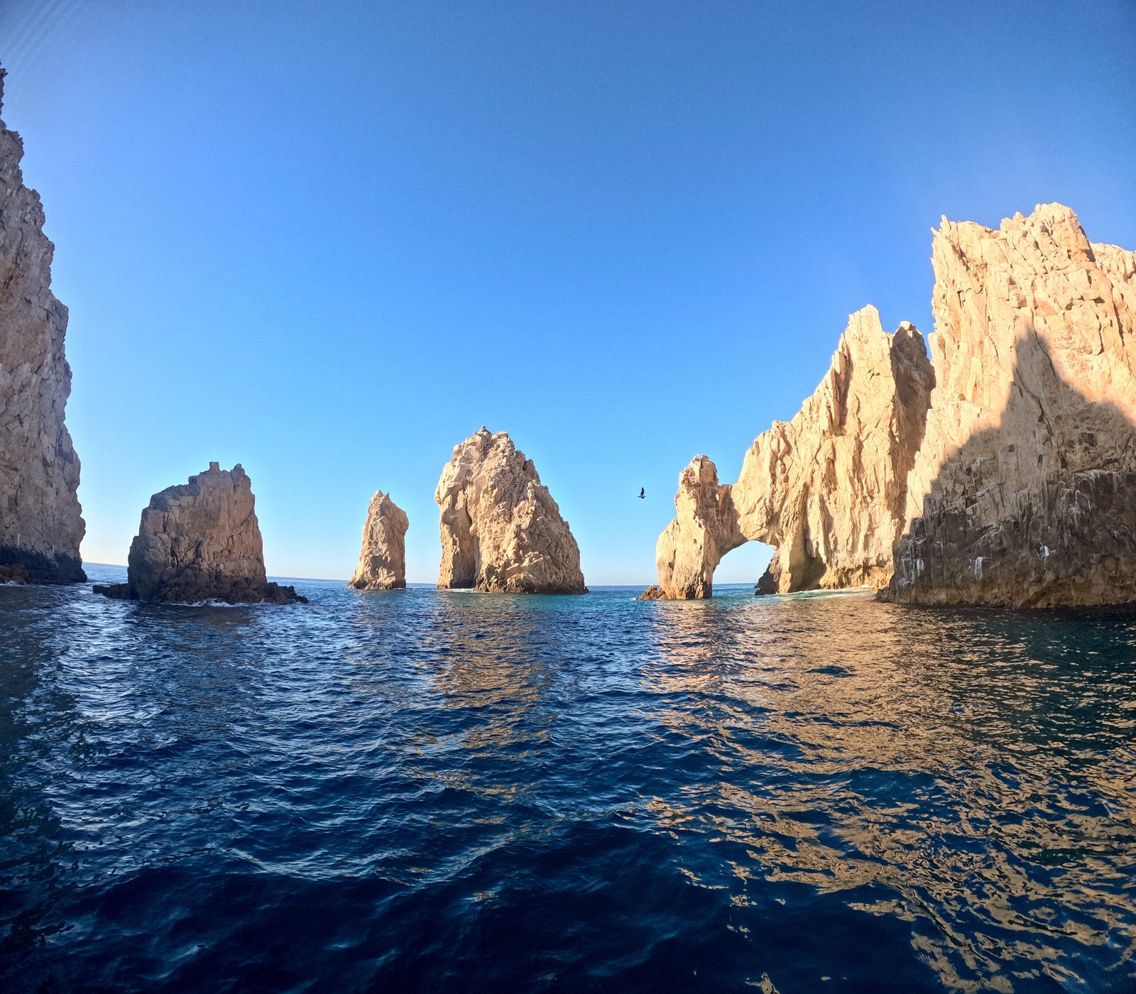 snorkeling cabo san lucas